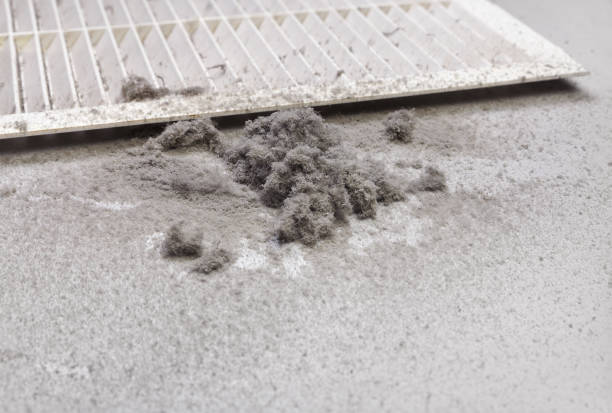 Best Affordable Duct Cleaning Services  in Canyon Creek, WA